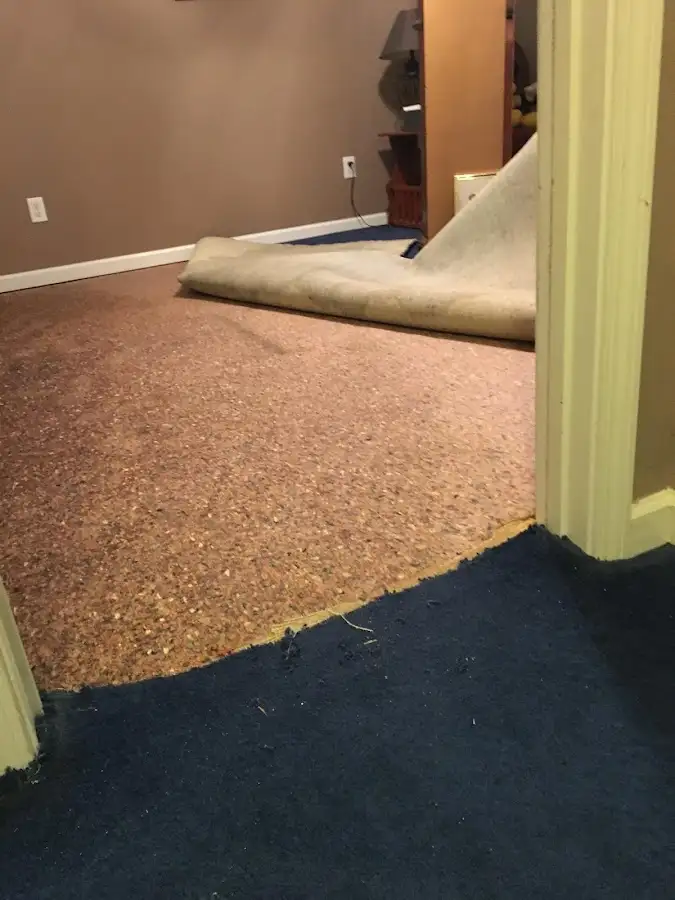 Carpet pad removal revealing water damage during Water Mitigation Services in Spanish Lake