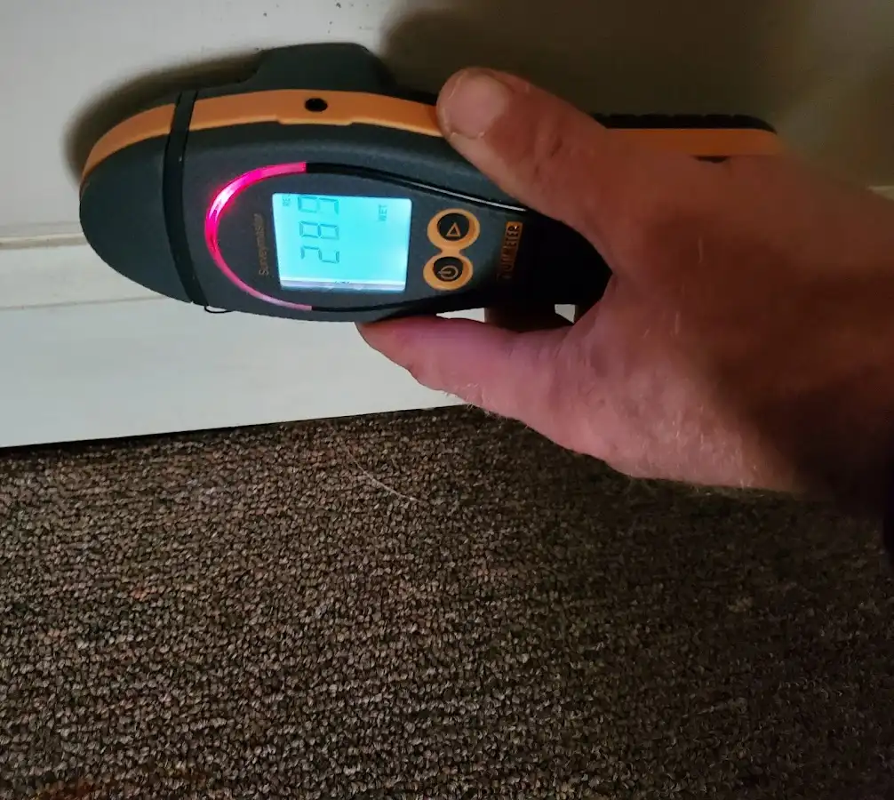 Moisture detection at baseboard during Burst Pipe Cleanup in Spanish Lake